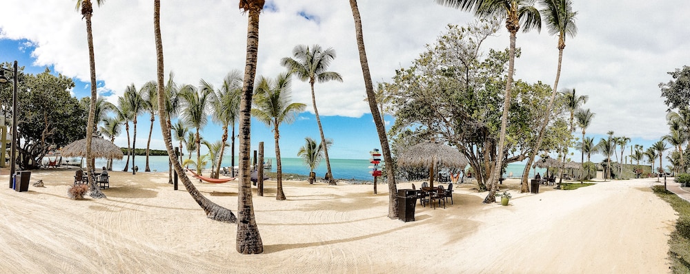 Lime Tree Bay Resort 56/65