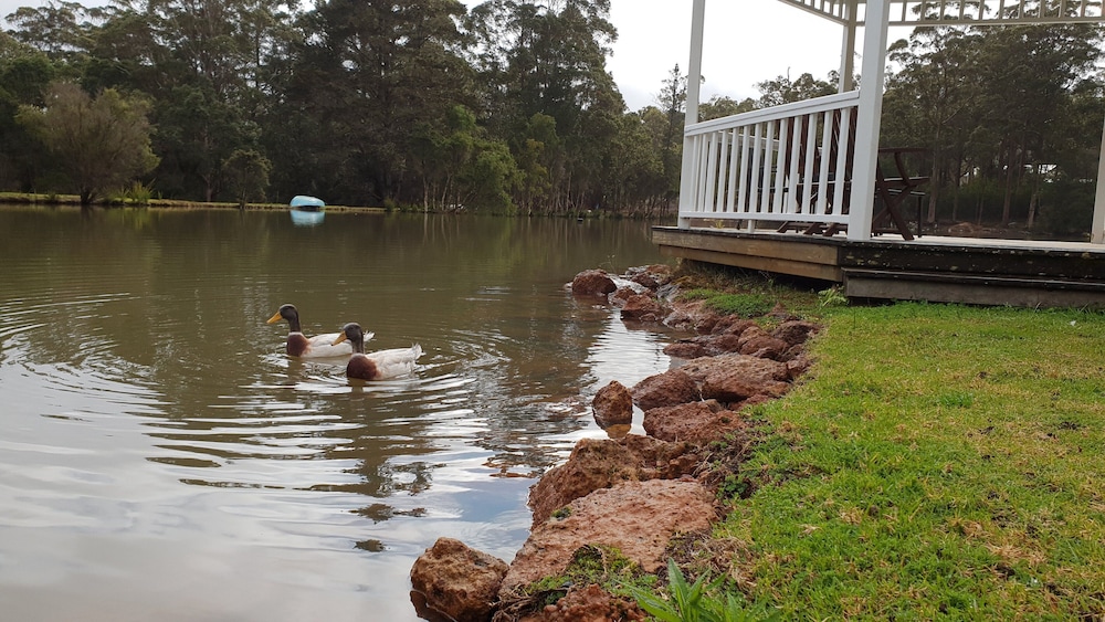FOREST LODGE RESORT 38/50