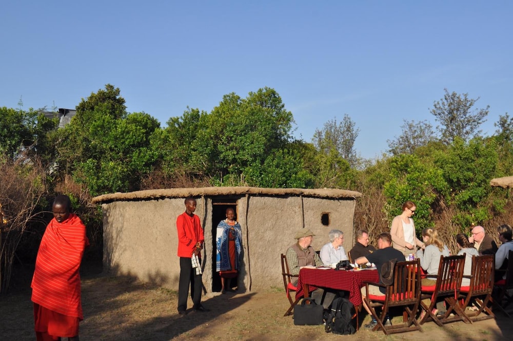 Fig Tree Camp 17/45