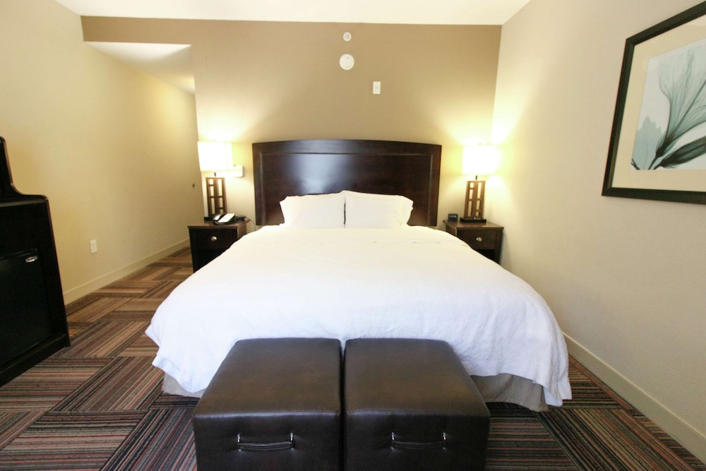 Hampton Inn And Suites Flowery Branch 11/38