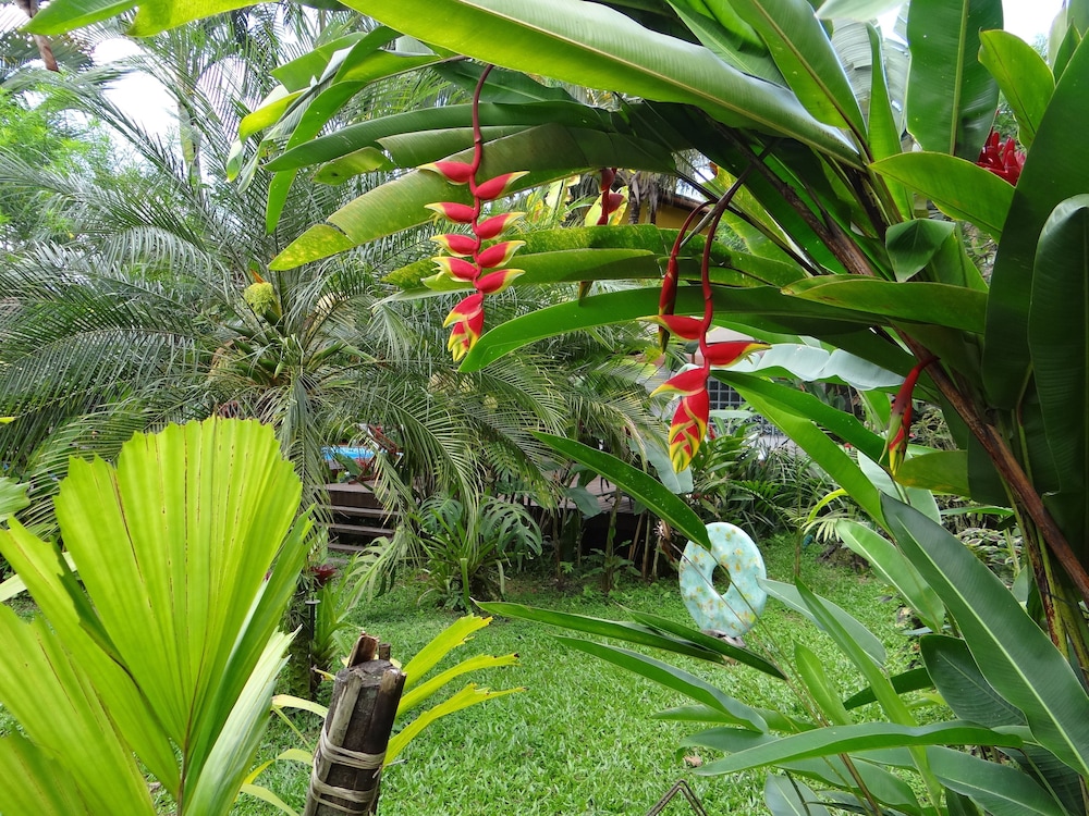 Eliconial Paraty Pousada & Spa 56/66