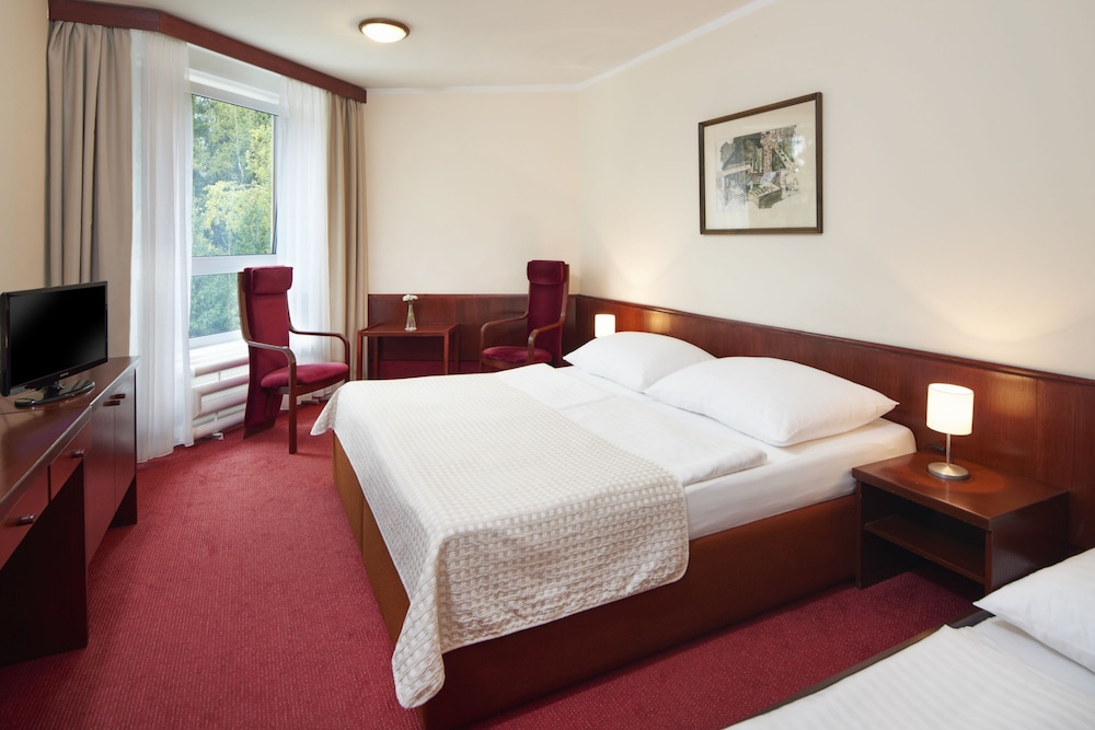 Wellness Hotel Svornost 17/69