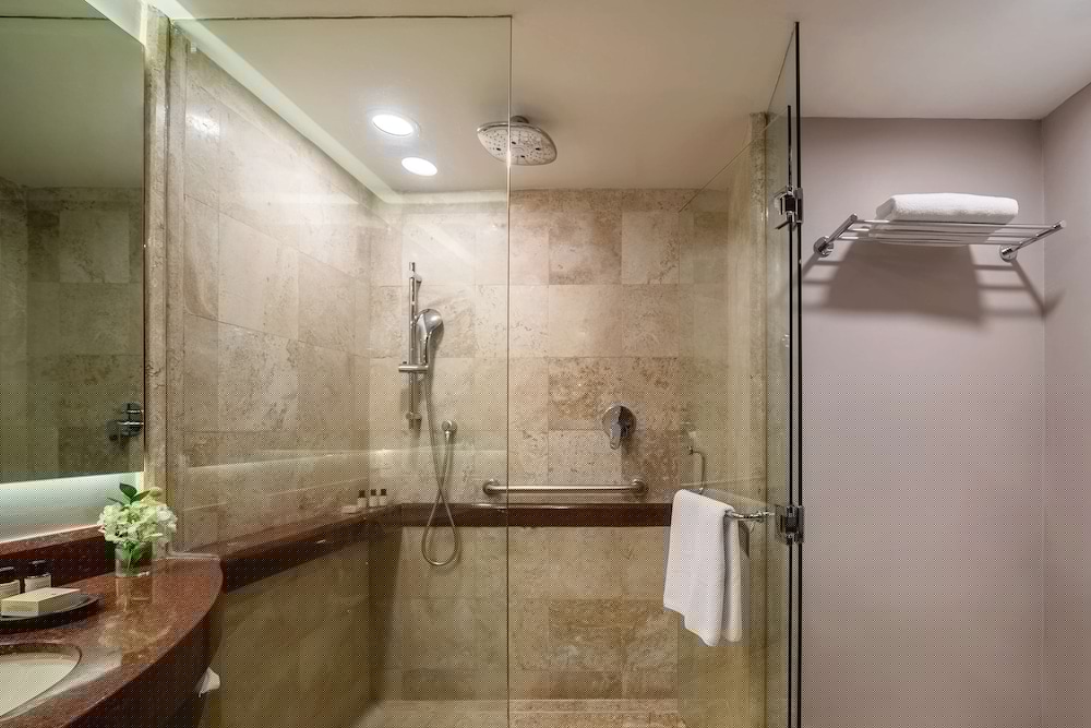 Hyatt Regency Villahermosa 48/50