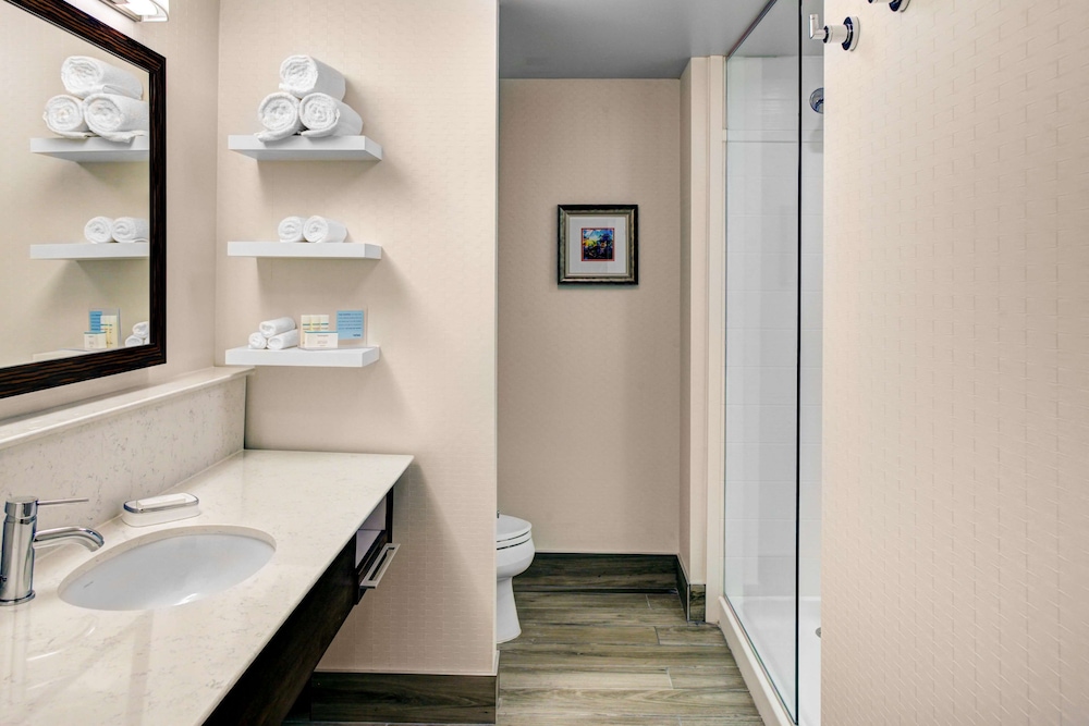 Hampton Inn & Suites By Hilton Atlanta Perimeter Dunwoody 21/41