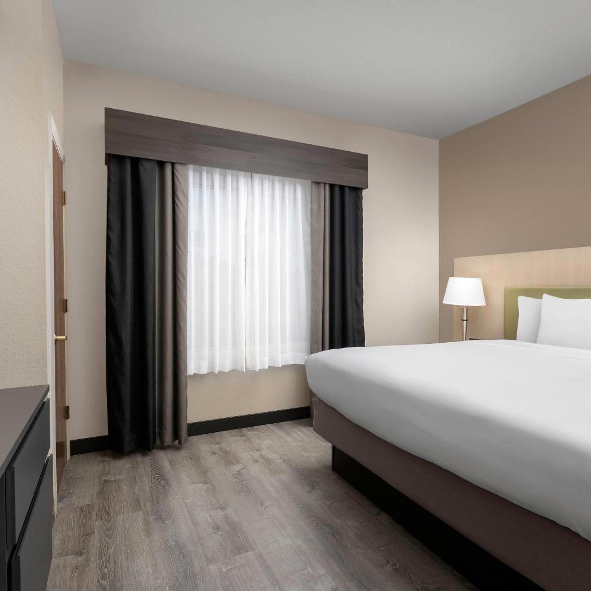 1 Bedroom, Suite, King Bed