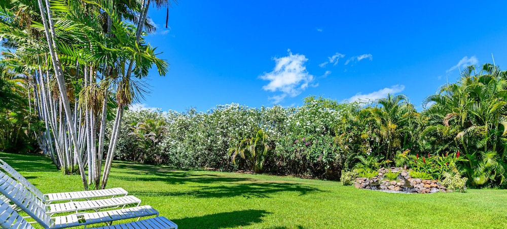Castle Maui Banyan 48/62