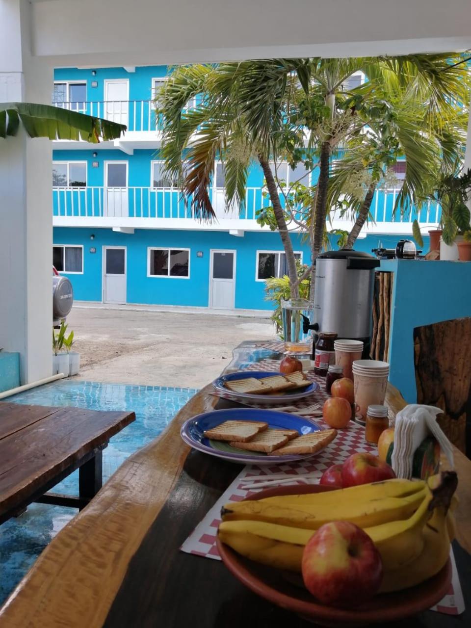 Blue Coconut Cancun 30/52