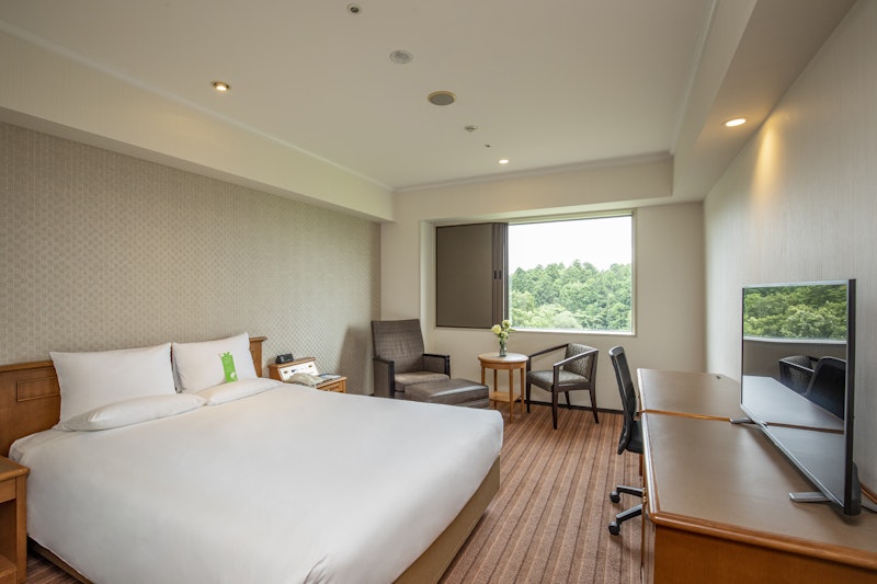 International Garden Hotel Narita 12/60