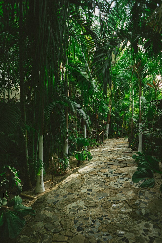Ocho Artisan Bungalows 78/80