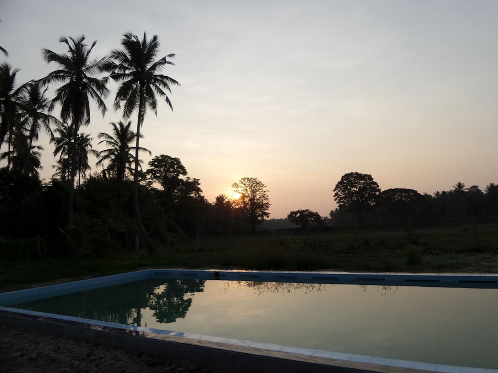 Cocoworld Bungalow 33/50