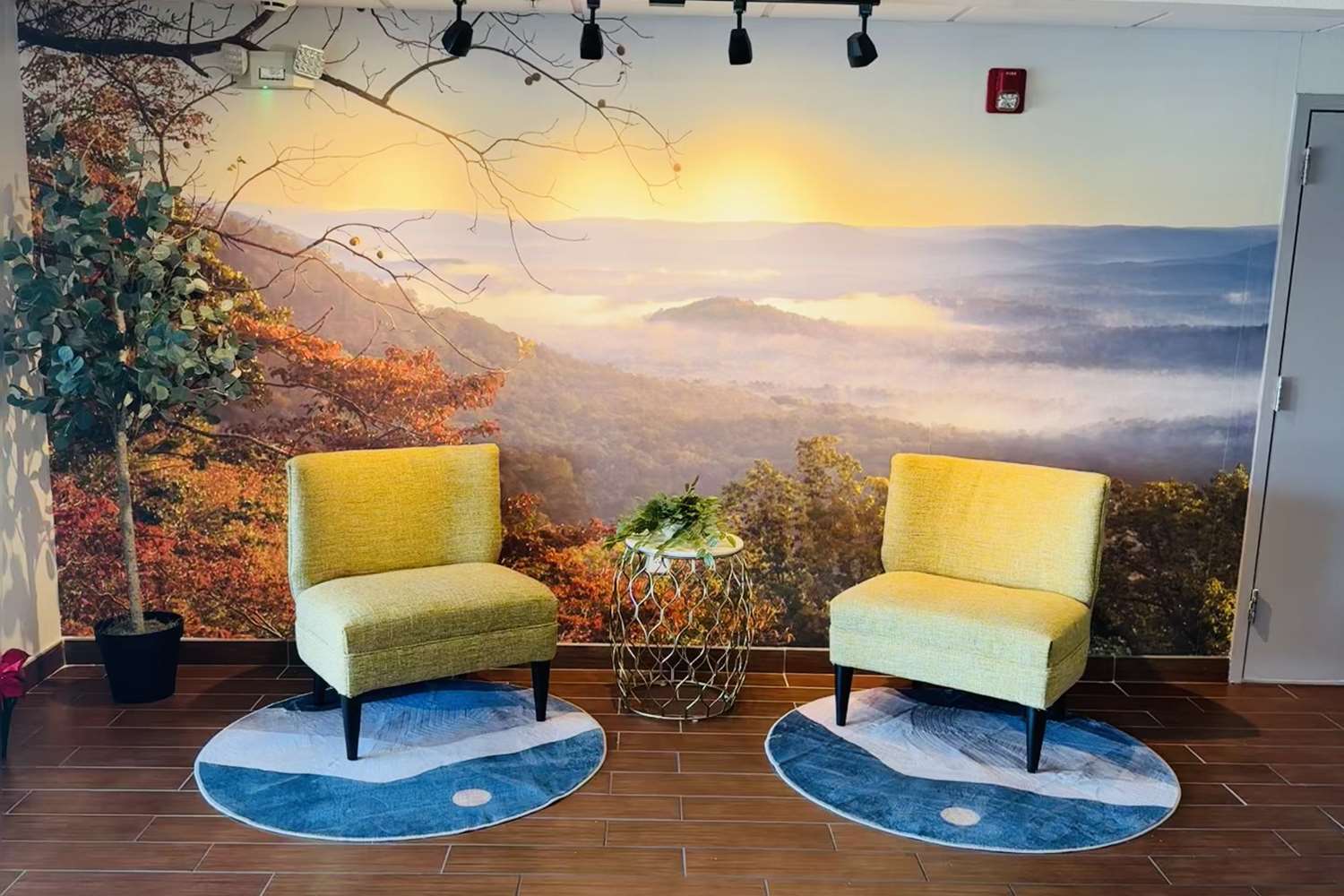 Clarion Pointe Albemarle 41/59