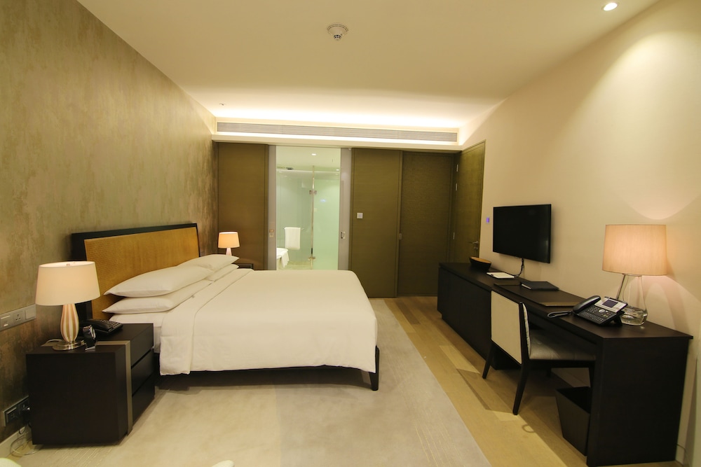 Hyatt Regency Delhi 14/72