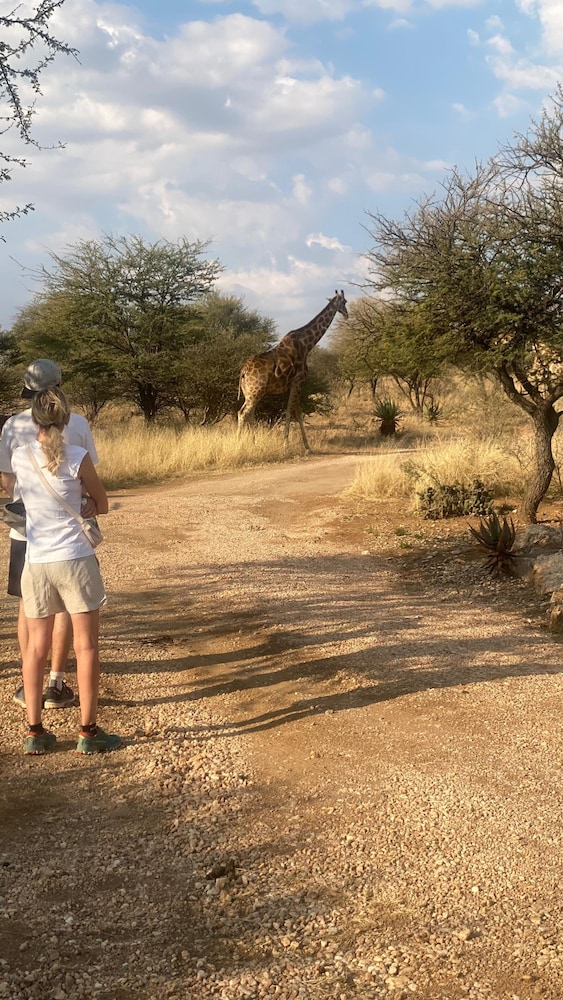 Windhoek Game Camp 43/48
