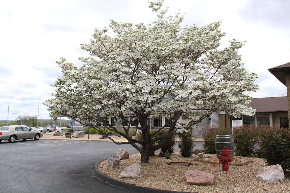 Baymont Inn and Suites by Wyndham Farmington, MO 50/62