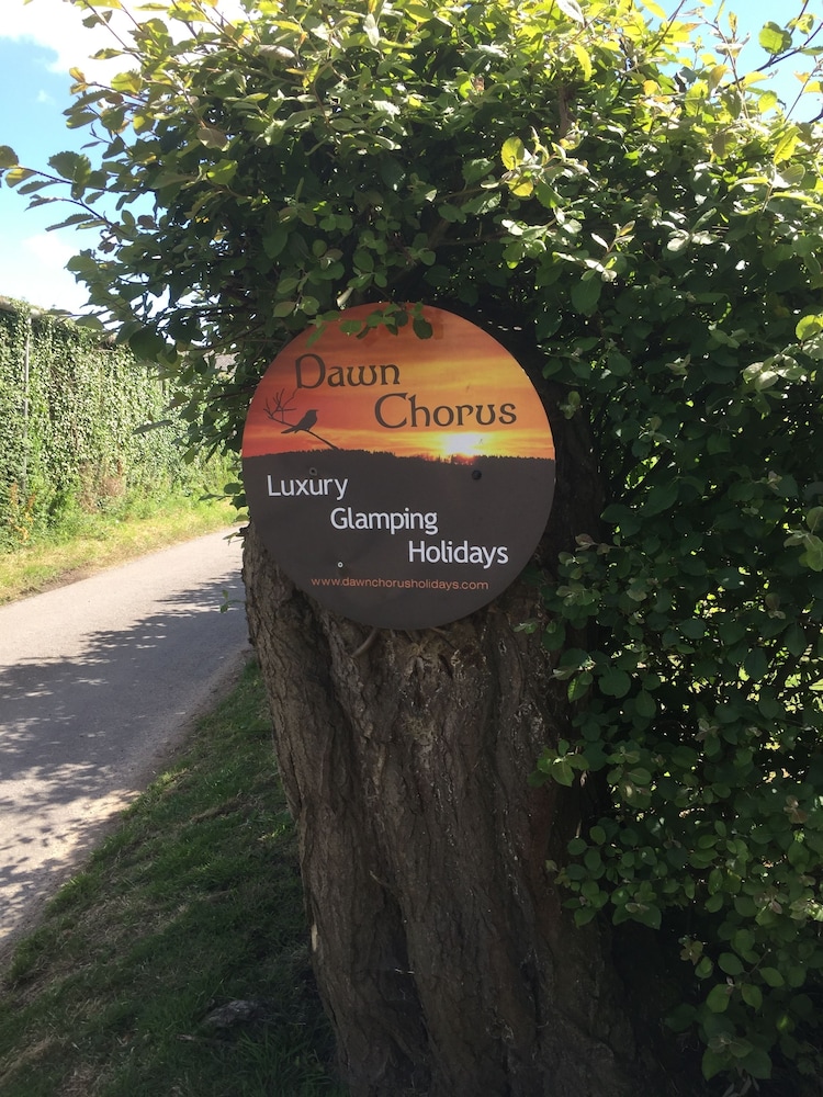 Dawn Chorus Holidays 2/50