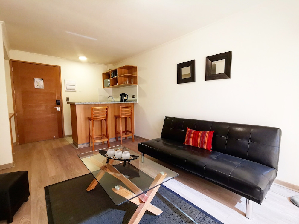 APART HOTEL VIVA PROVIDENCIA 22/30
