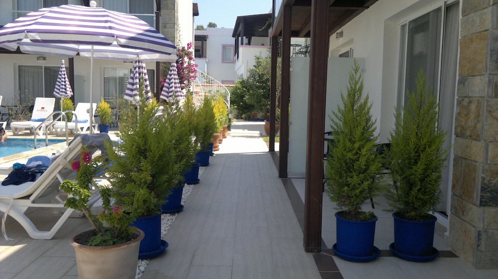 Cotton Boutique Hotel 24/34