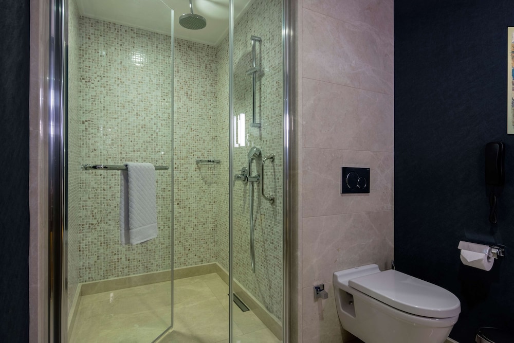 DoubleTree by Hilton Istanbul Topkapi 13/37