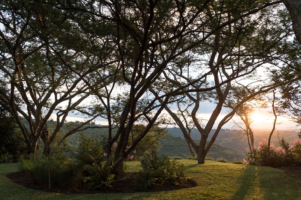 The Hilton Bush Lodge 33/45