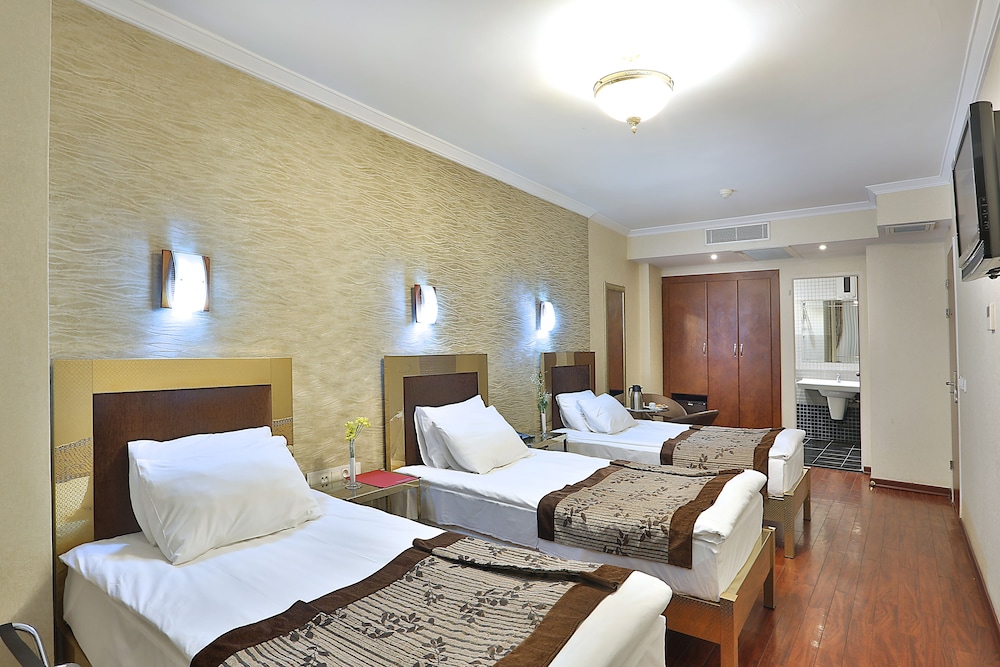 Grand Madrid Hotel 25/34