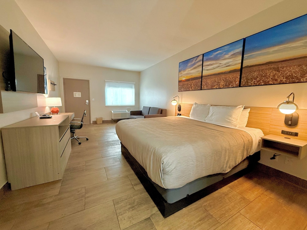 Suite, King Bed