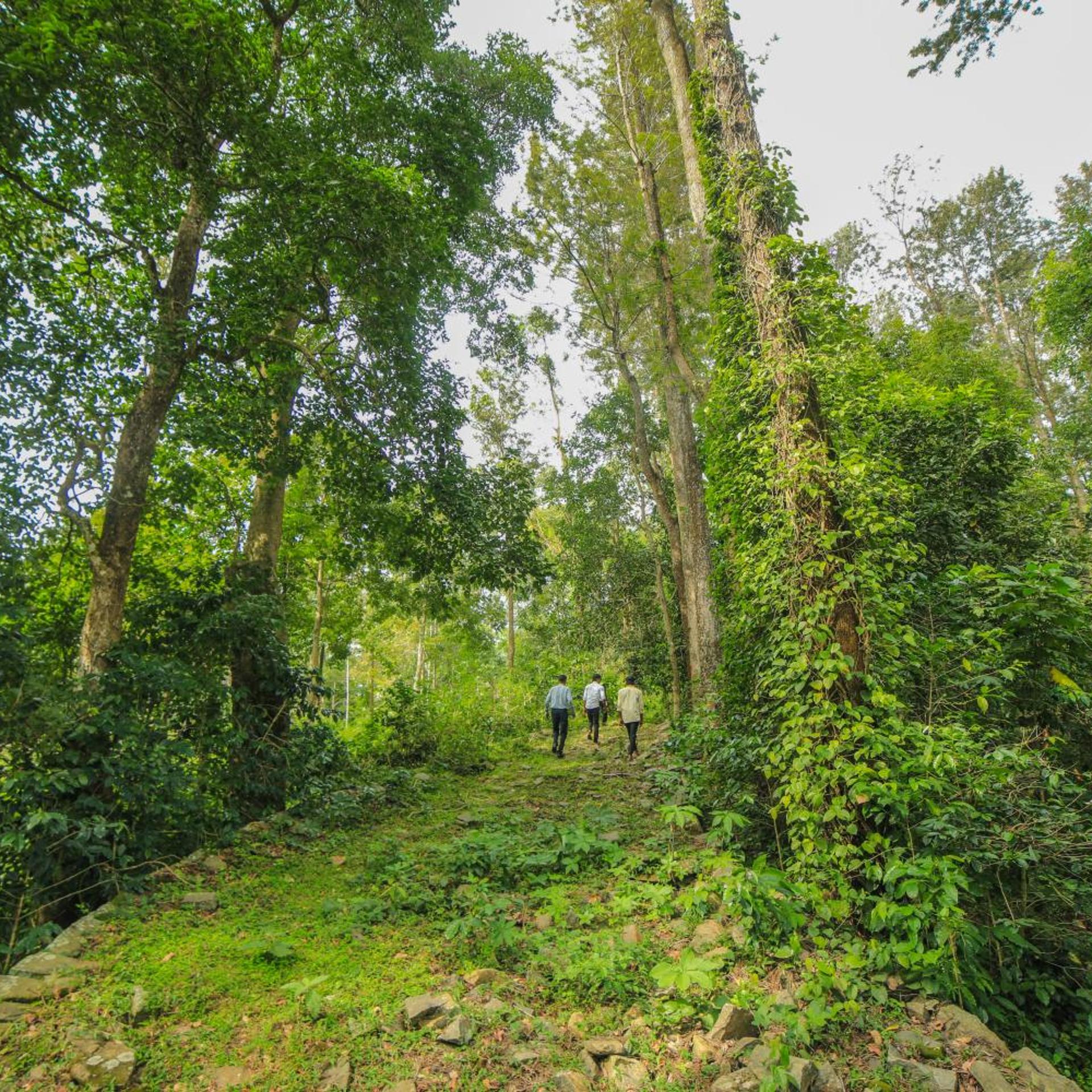 WOW Bison Woods Resort Yercaud 45/57