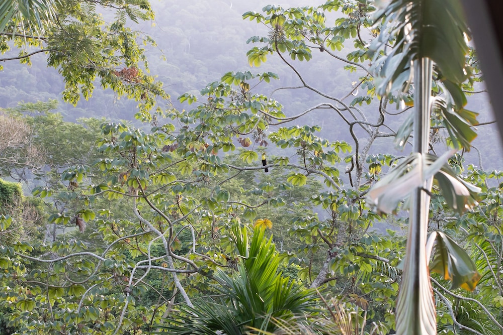 Omega Tours Adventure Company And Eco Jungle Lodge 34/50