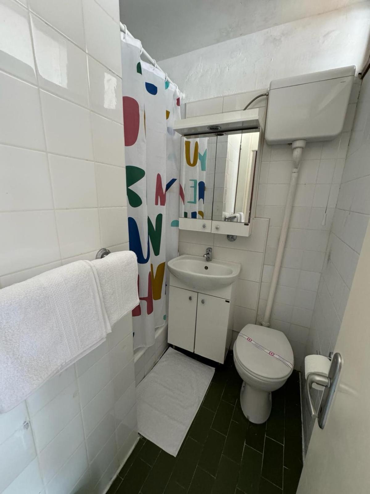 Kamelija 42/42