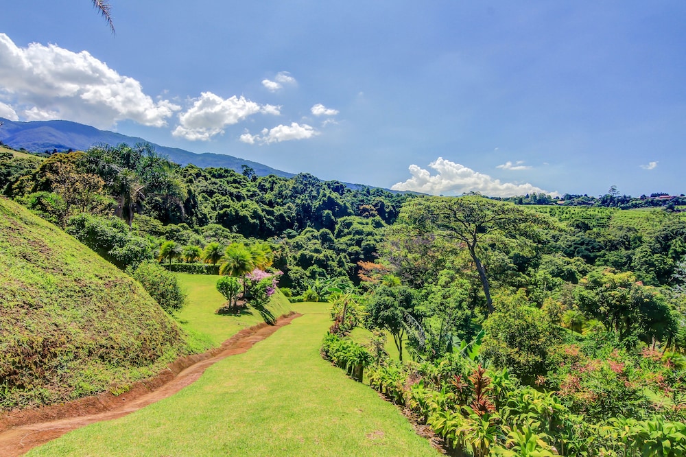 Hotel Mango Valley 24/39