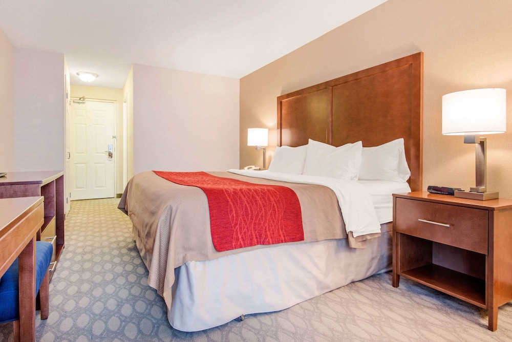 ROOM, KING BED