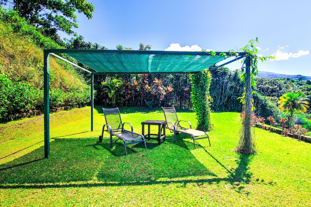 Hotel Mango Valley 15/39