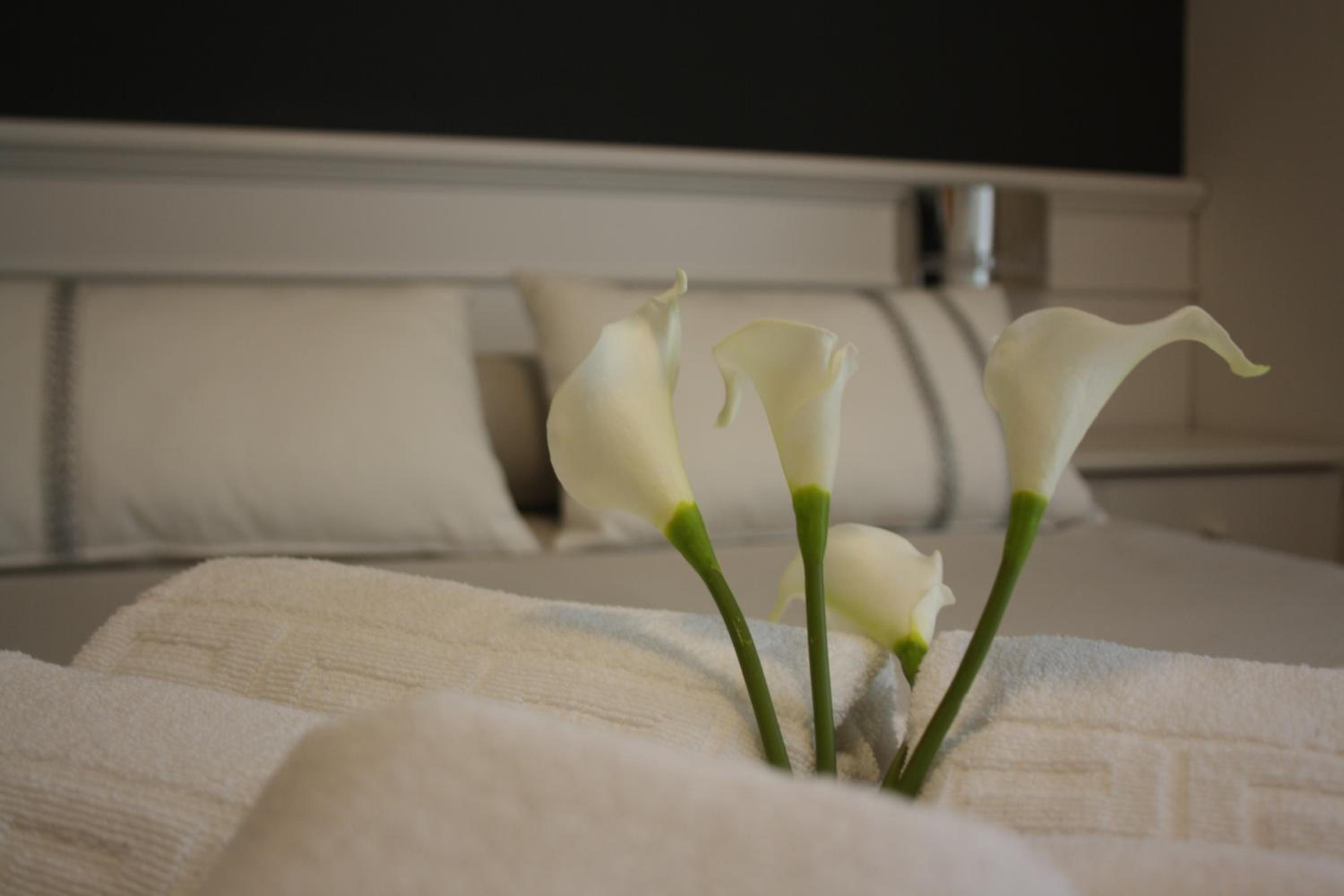 Hotel Herreros 13/38