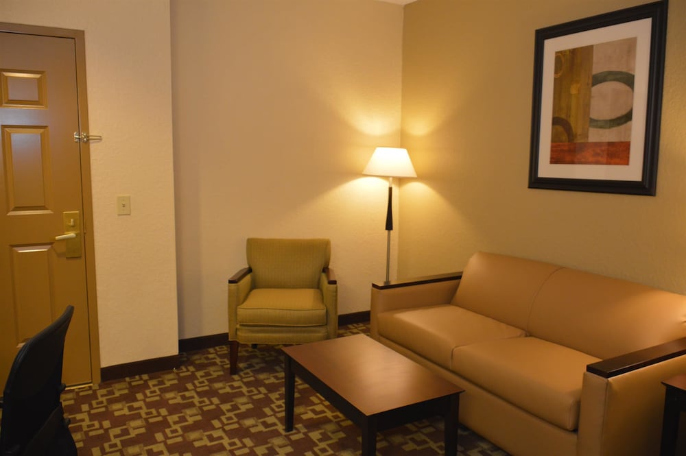 Best Western Plus Hobby Airport Inn and Suites 29/58