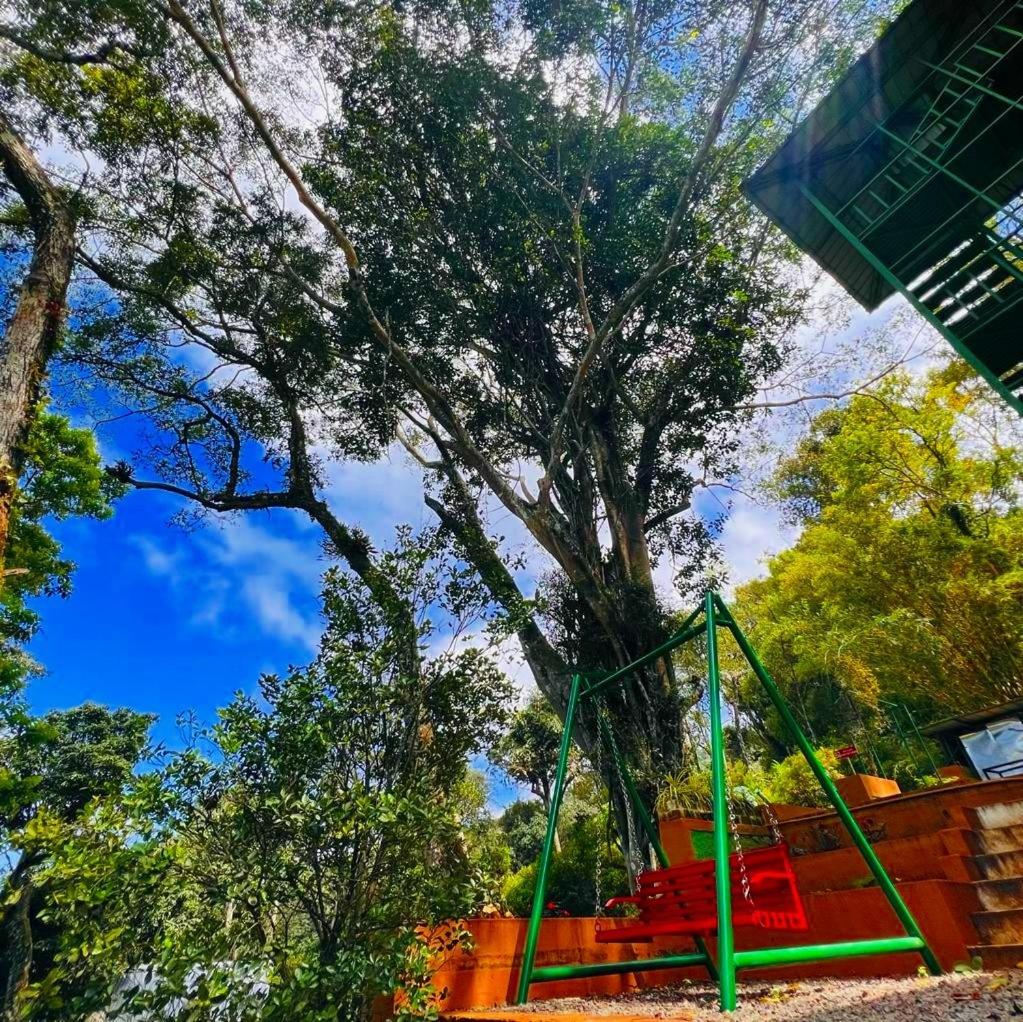 Bamboodale 33/57