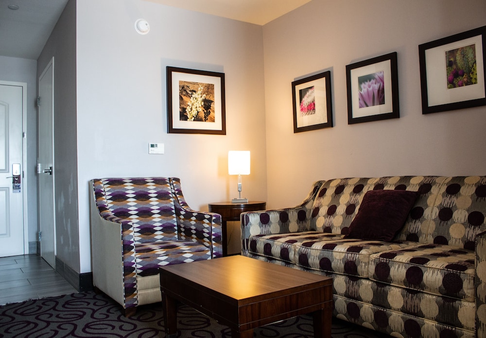 Comfort Inn & Suites Lovington, NM 25/39