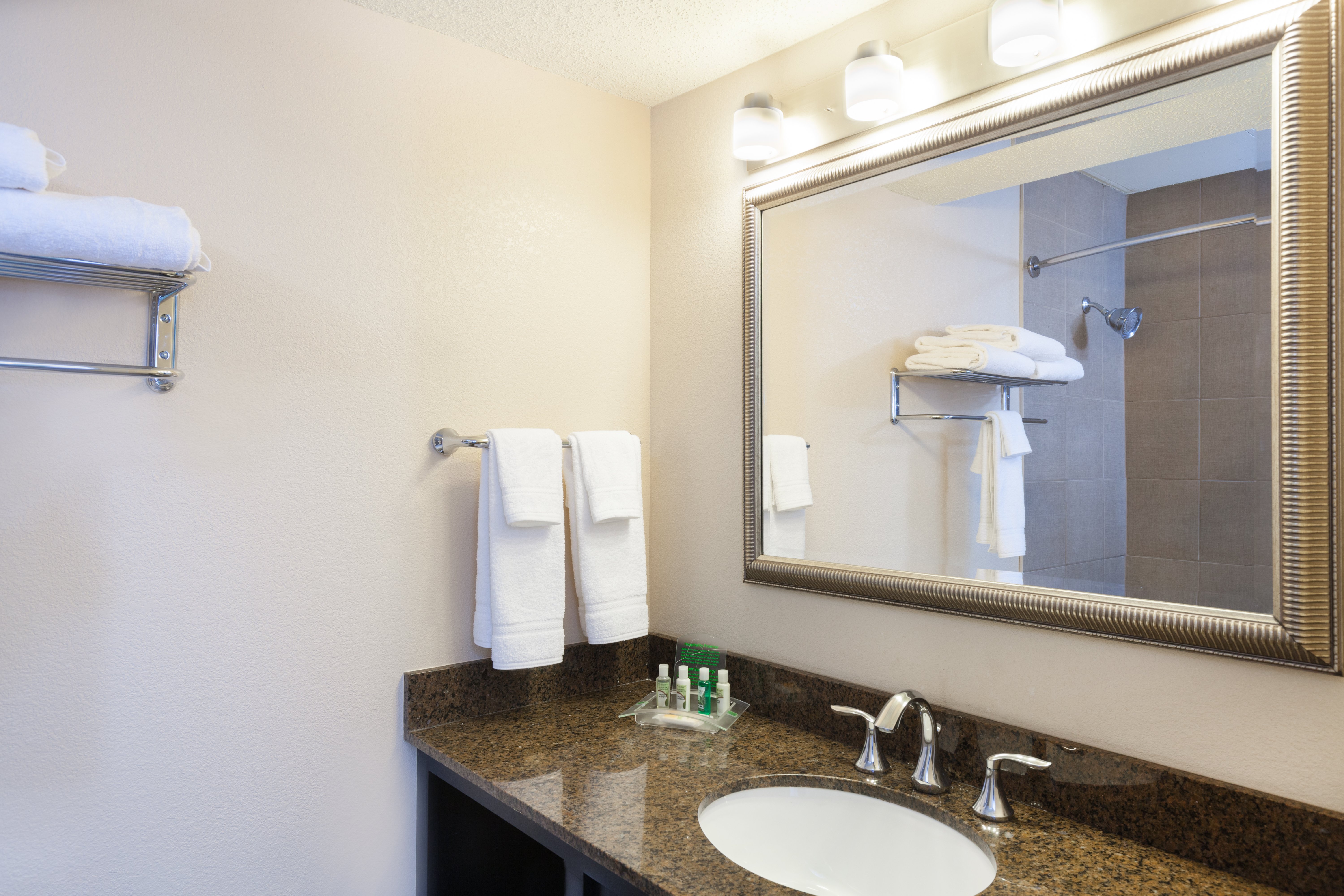 Holiday Inn Metairie New Orleans Airport 54/55