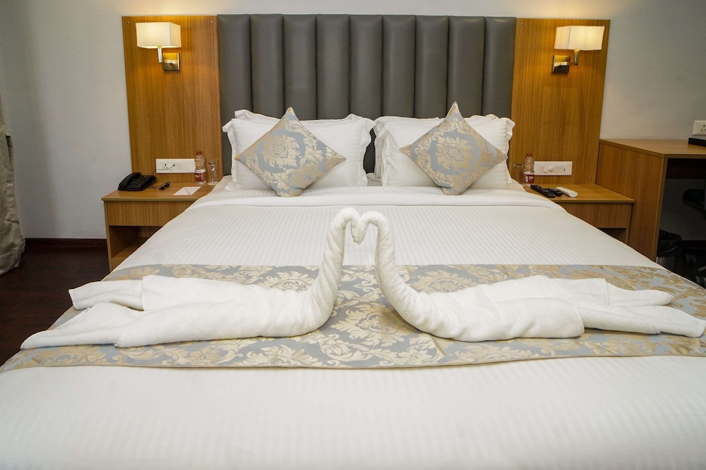 Comfort Inn Udaipur 21/32