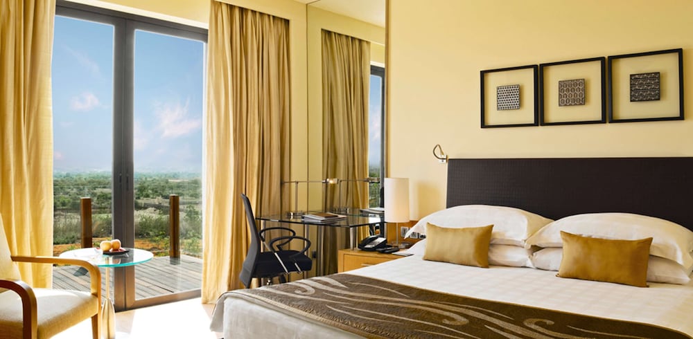 HYATT HYDERABAD GACHIBOWLI 18/71