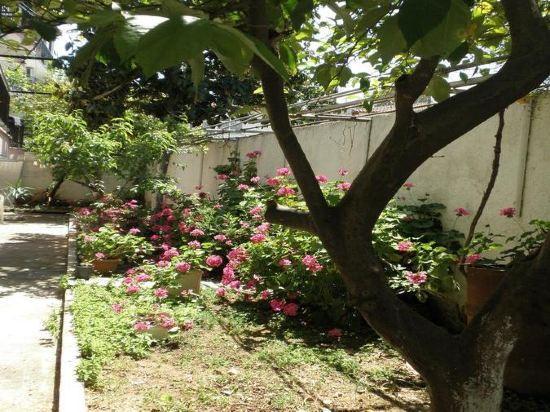 Filoxenia Hotel Skiathos 45/47