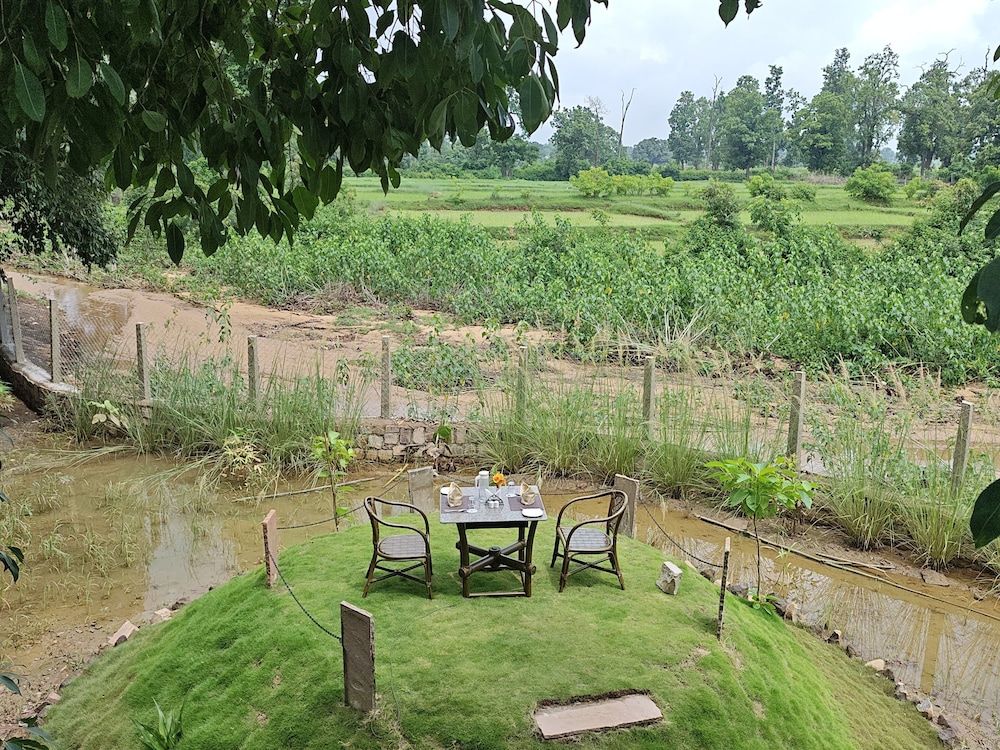 Tathastu Bandhavgarh 61/65