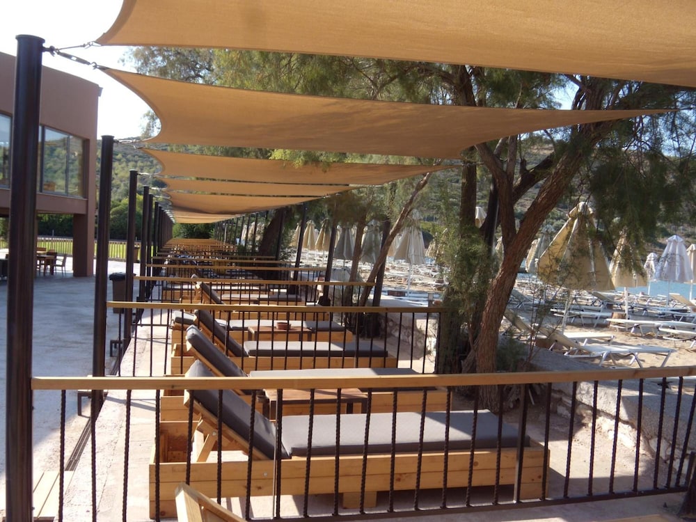 Aegeon Beach Hotel 3/50