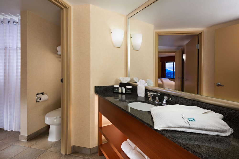 Embassy Suites by Hilton Phoenix Scottsdale 16/57