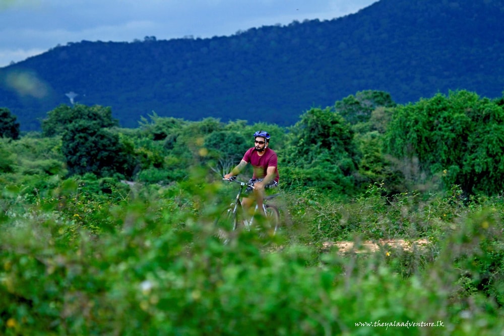 The Yala Camping 21/32