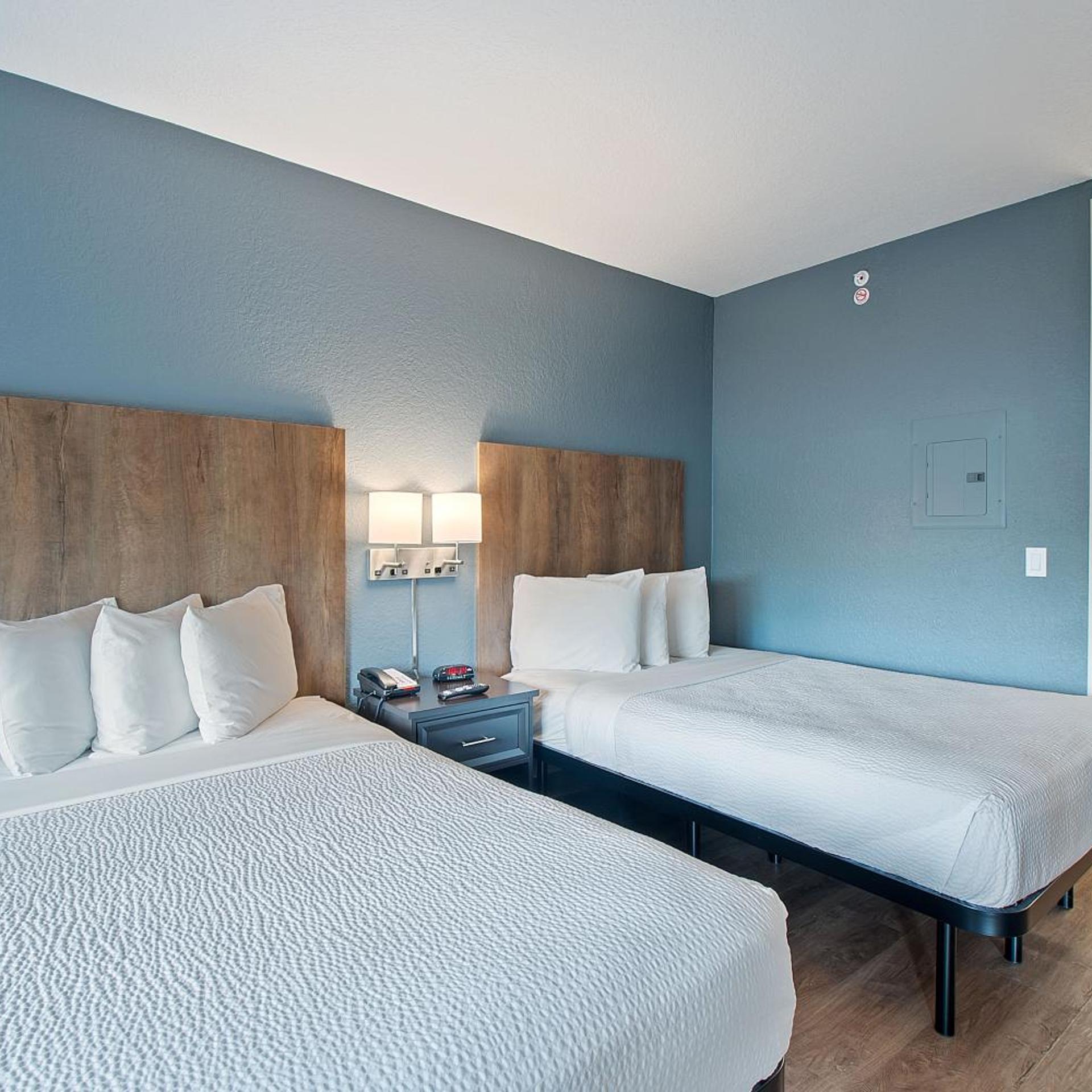 Deluxe, Studio, 2 Double Beds