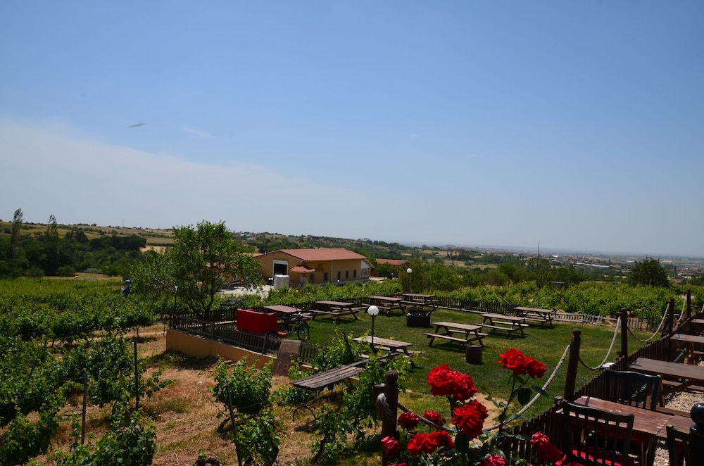 Dessera Vineyards Hotel 33/40