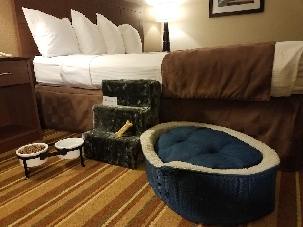 Rock Island Inn & Suites Marshalltown 27/55