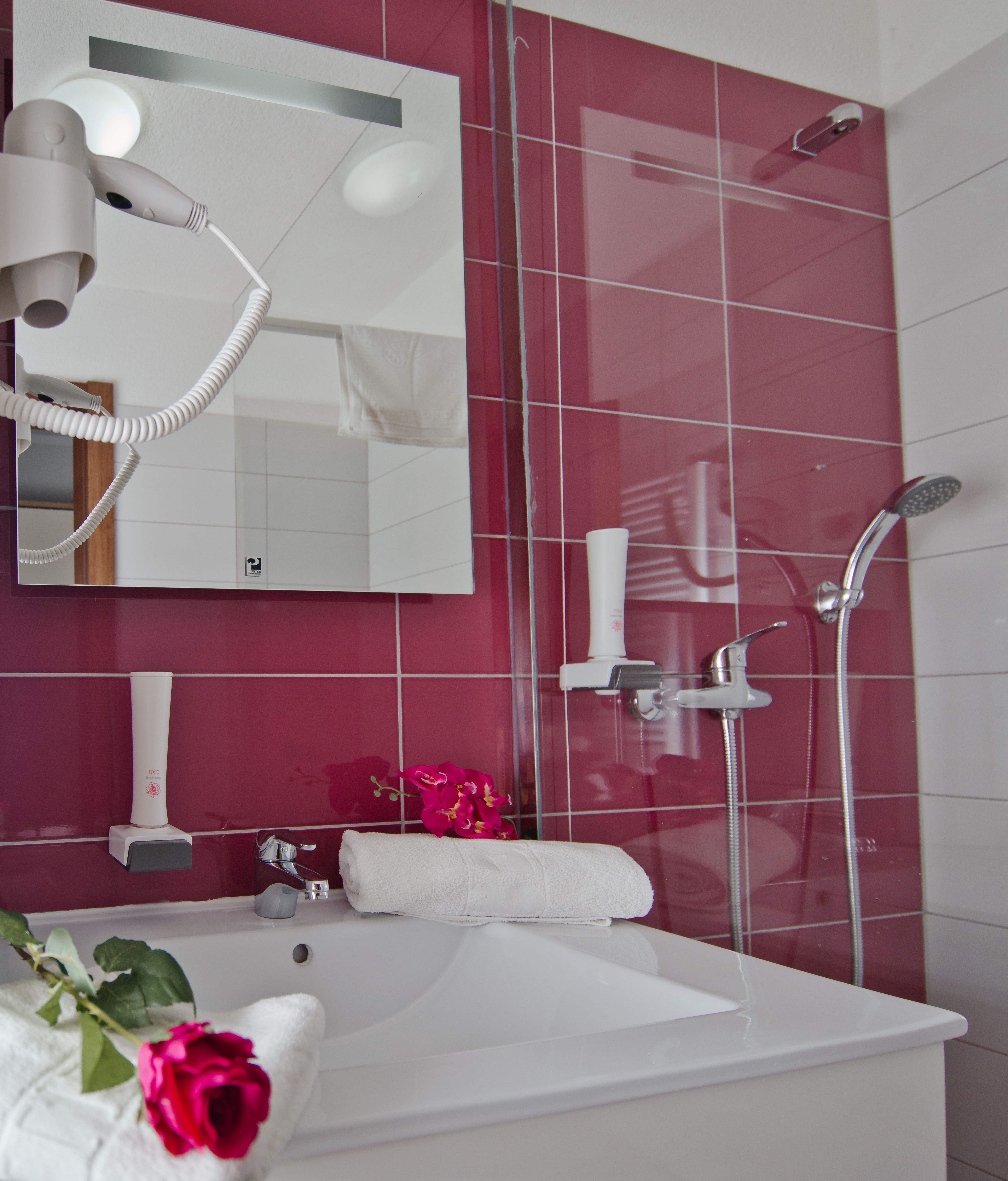 غرفة قياسية ثلاثية، Medjugorje Hotel Spa 3/3