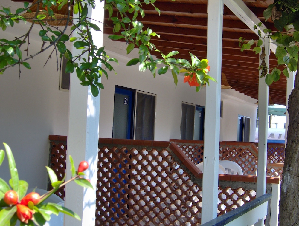 Le Palme Village 2/50