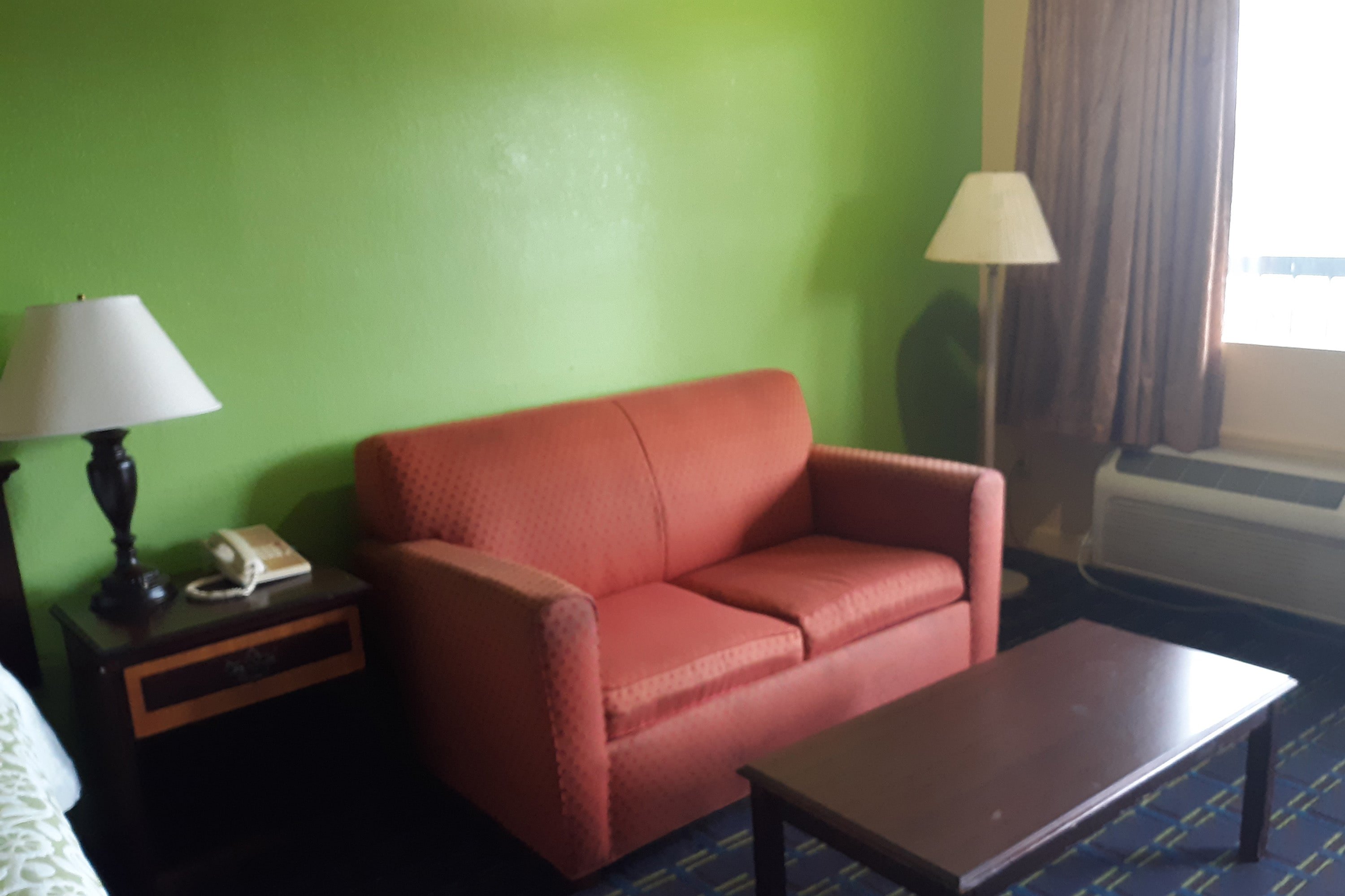 OYO Hotel Williamston 34/48