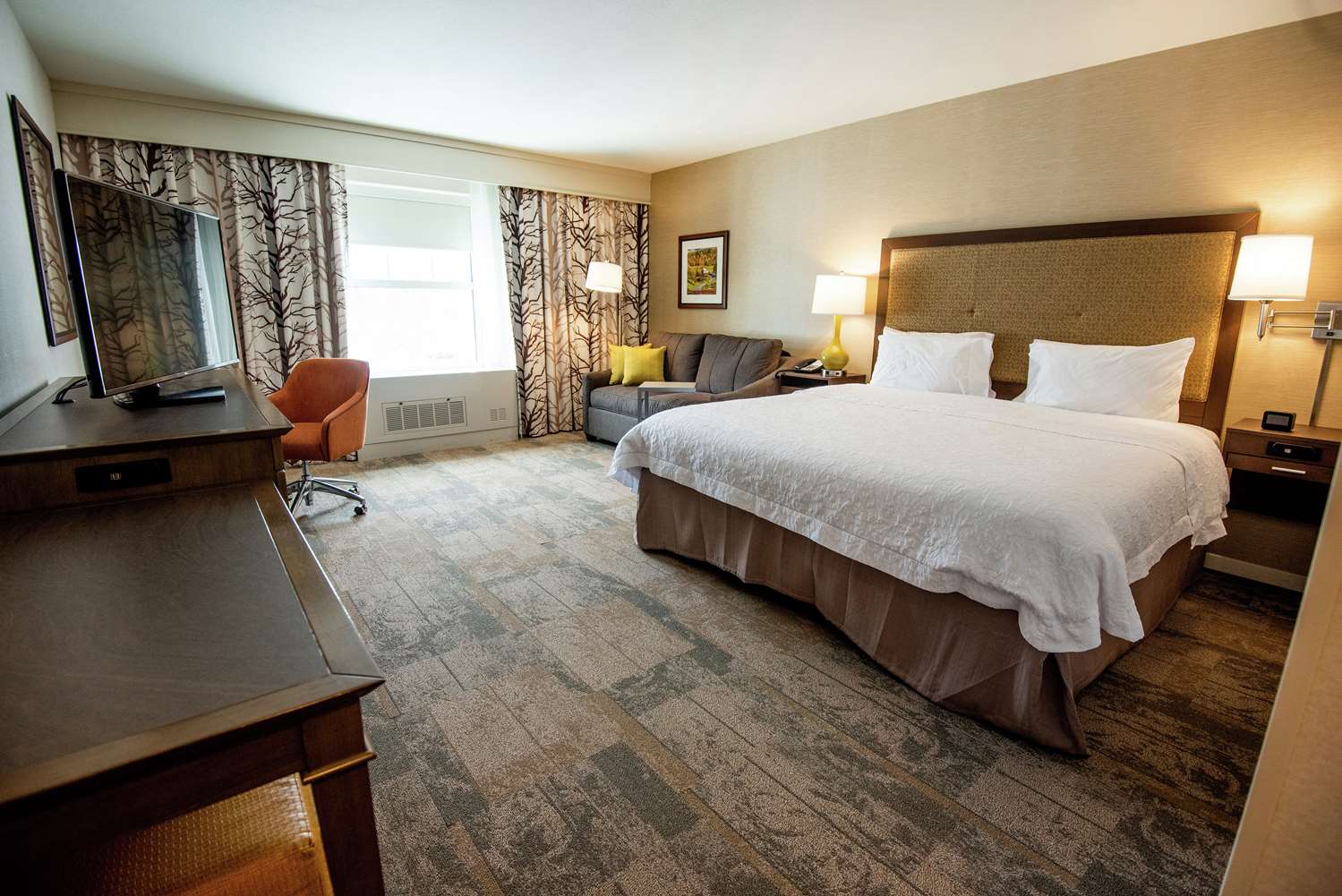 Hampton Inn and Suites Manchester VT 14/48